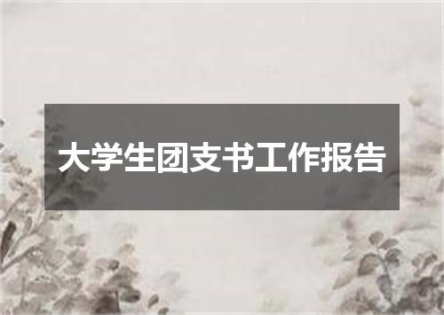 大学生团支书工作报告