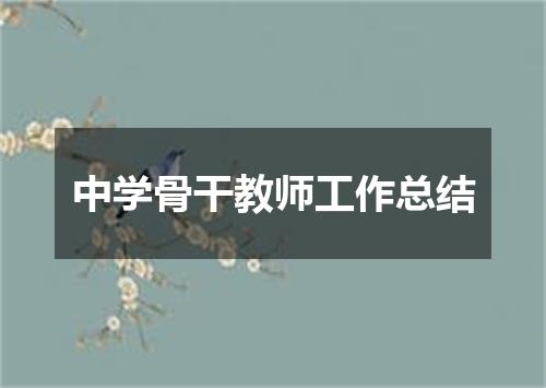 中学骨干教师工作总结
