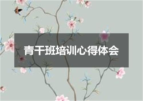 青干班培训心得体会