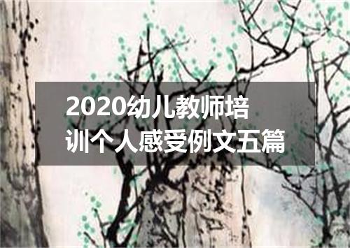 2020幼儿教师培训个人感受例文五篇