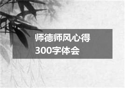 师德师风心得300字体会
