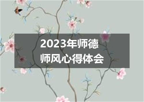 2023年师德师风心得体会