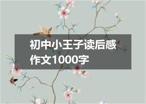 初中小王子读后感作文1000字