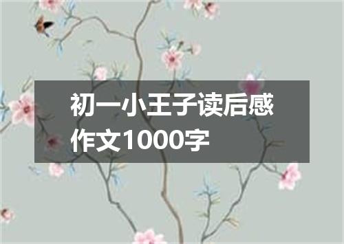 初一小王子读后感作文1000字