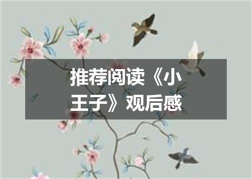 推荐阅读《小王子》观后感