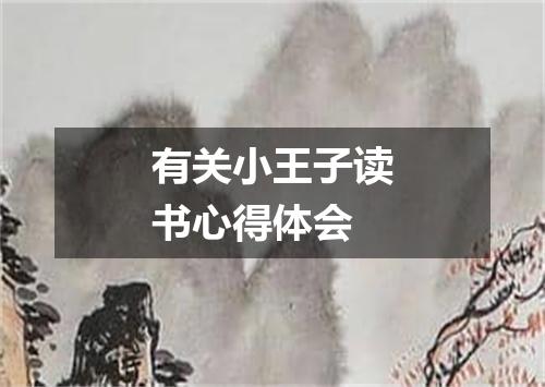 有关小王子读书心得体会