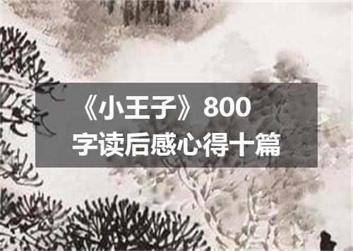 《小王子》800字读后感心得十篇