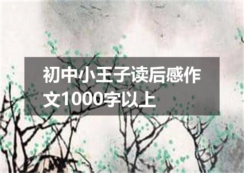 初中小王子读后感作文1000字以上