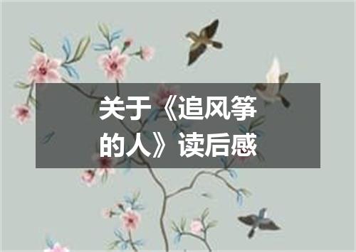 关于《追风筝的人》读后感