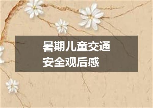 暑期儿童交通安全观后感