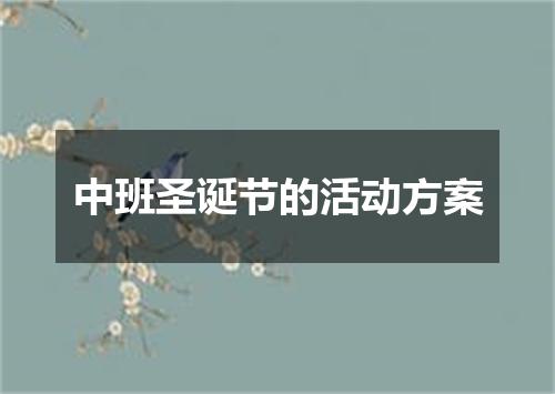 中班圣诞节的活动方案