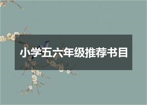 小学五六年级推荐书目