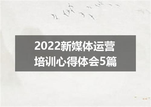2022新媒体运营培训心得体会5篇