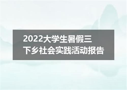 2022大学生暑假三下乡社会实践活动报告