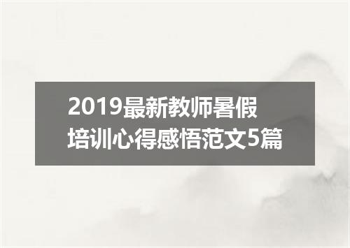 2019最新教师暑假培训心得感悟范文5篇