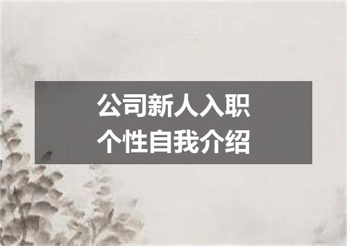 公司新人入职个性自我介绍