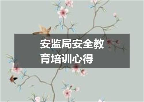 安监局安全教育培训心得