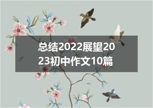 总结2022展望2023初中作文10篇
