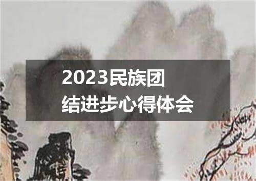 2023民族团结进步心得体会