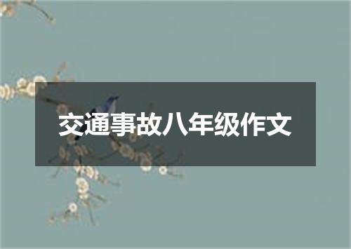交通事故八年级作文