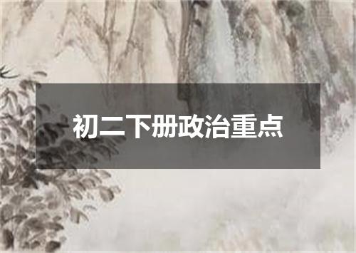 初二下册政治重点