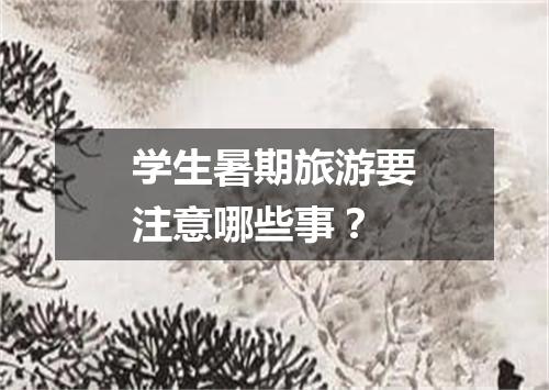 学生暑期旅游要注意哪些事？