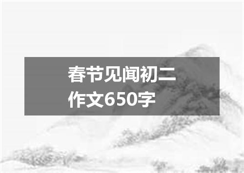 春节见闻初二作文650字