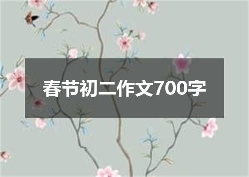 春节初二作文700字