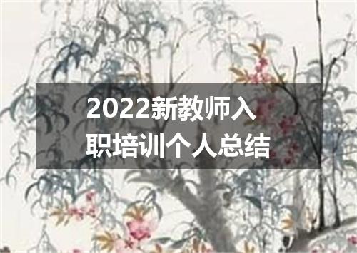 2022新教师入职培训个人总结
