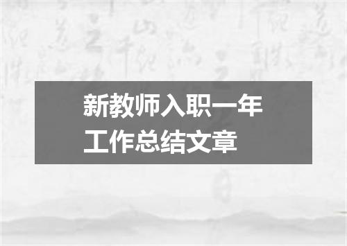新教师入职一年工作总结文章