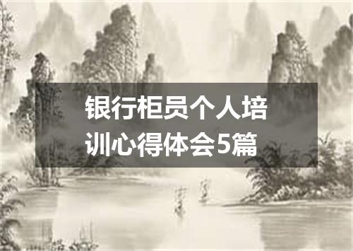 银行柜员个人培训心得体会5篇
