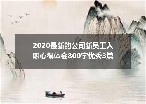 2020最新的公司新员工入职心得体会800字优秀3篇