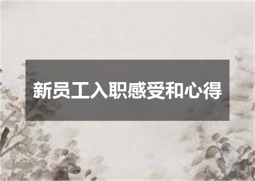 新员工入职感受和心得