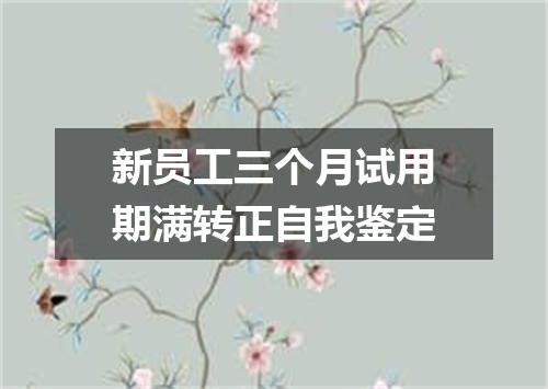 新员工三个月试用期满转正自我鉴定