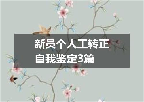 新员个人工转正自我鉴定3篇