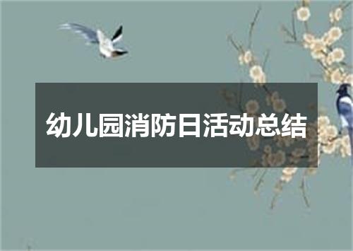 幼儿园消防日活动总结