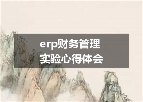 erp财务管理实验心得体会