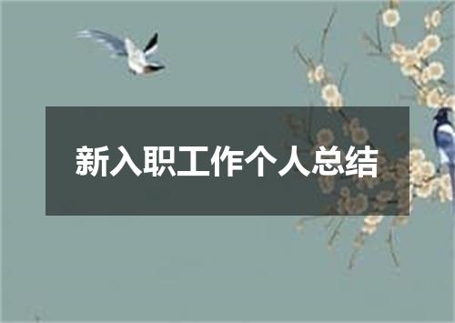 新入职工作个人总结