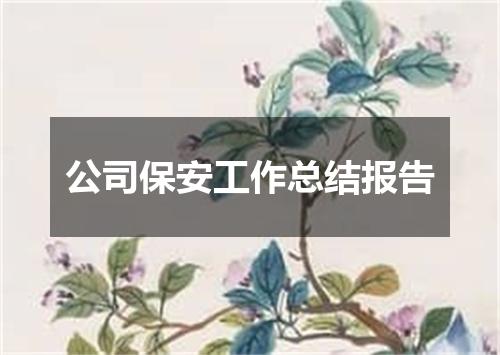 公司保安工作总结报告