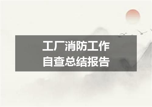 工厂消防工作自查总结报告