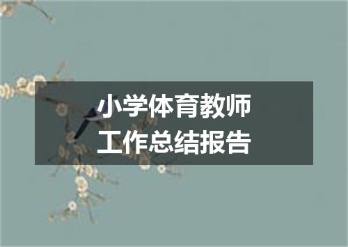 小学体育教师工作总结报告