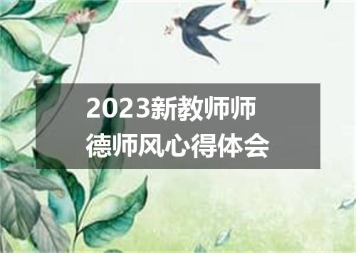2023新教师师德师风心得体会