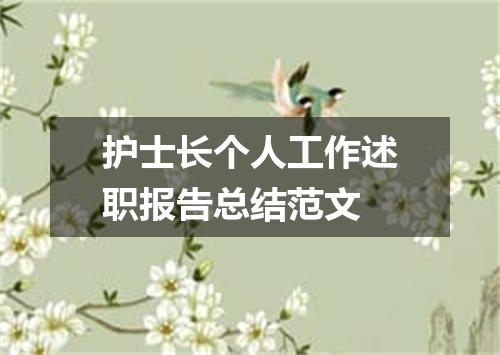 护士长个人工作述职报告总结范文