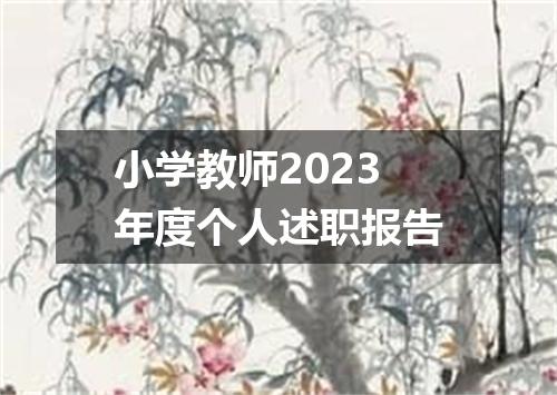 小学教师2023年度个人述职报告