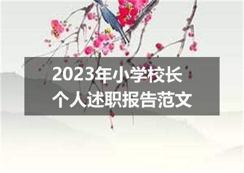 2023年小学校长个人述职报告范文