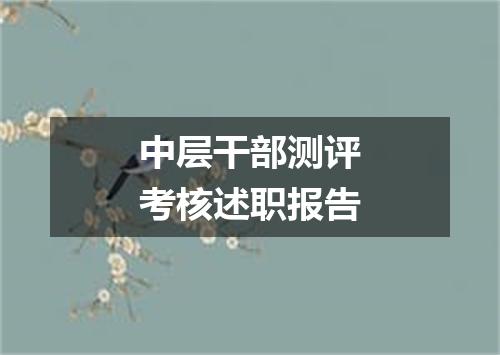 中层干部测评考核述职报告