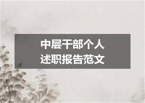 中层干部个人述职报告范文