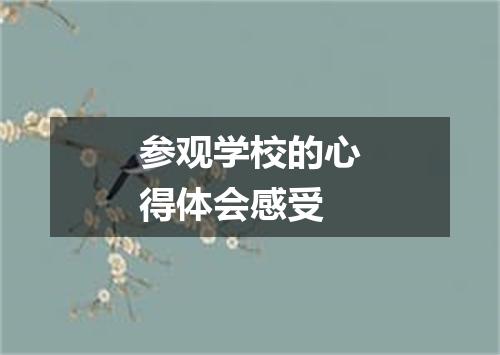 参观学校的心得体会感受