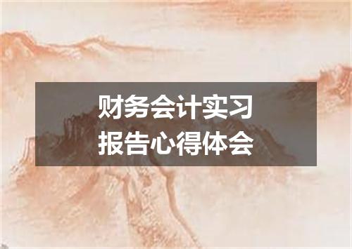 财务会计实习报告心得体会