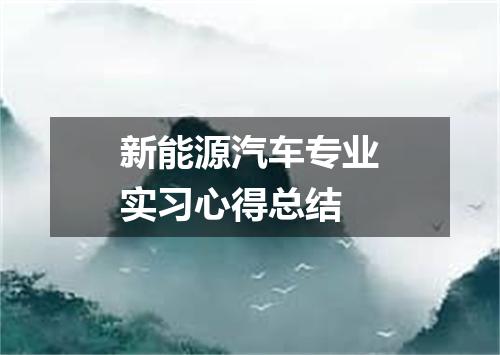新能源汽车专业实习心得总结